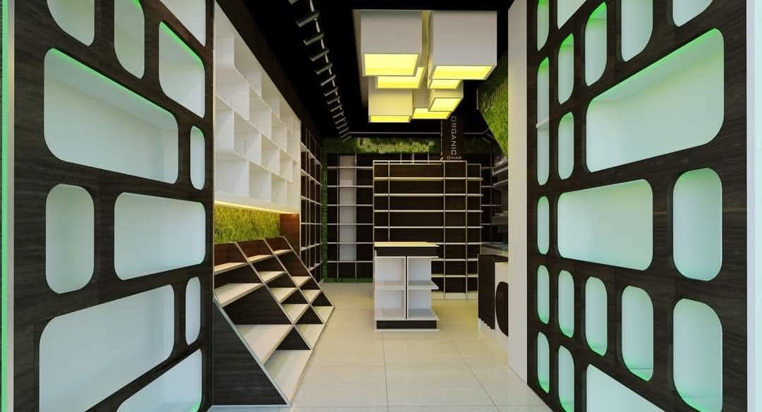 Organic House — photo 4